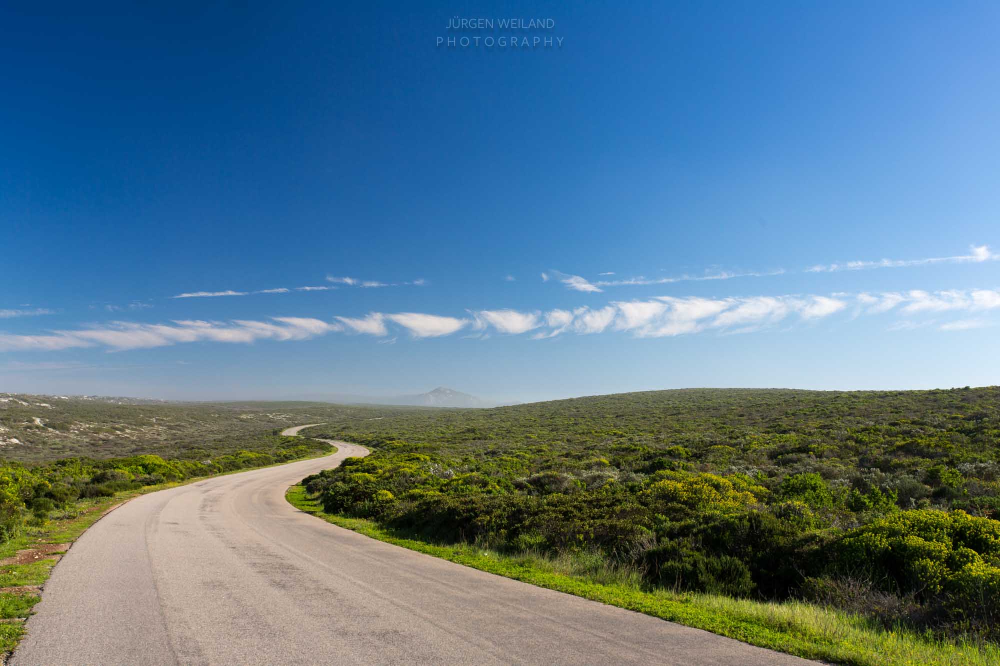  Postberg Flower Reserve 
